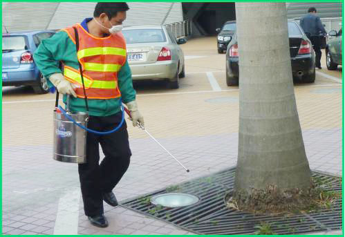 罗湖区2016-2017病媒生物防治项...(图1)