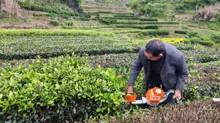 广阔天地 大有可为 2023斯蒂尔走进乡村(图4)