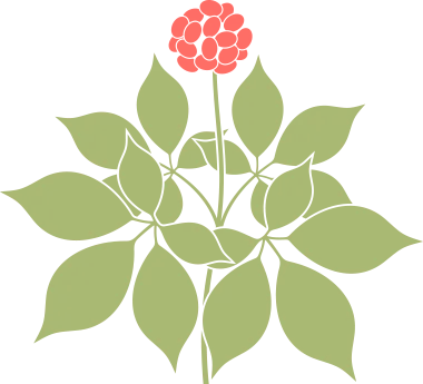 广阔天地 大有可为 2023斯蒂尔走进乡村(图12)