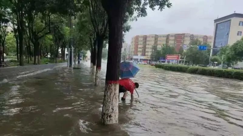 “汛”速出击！直击京津冀抗洪第一线的环卫力量(图5)